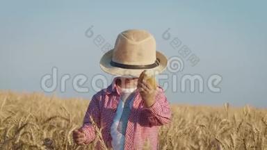 在阳光明媚的夏日，戴帽子的可爱男孩在金色的麦田里散步。 <strong>暑期</strong>乡村生活、度假、环境保护
